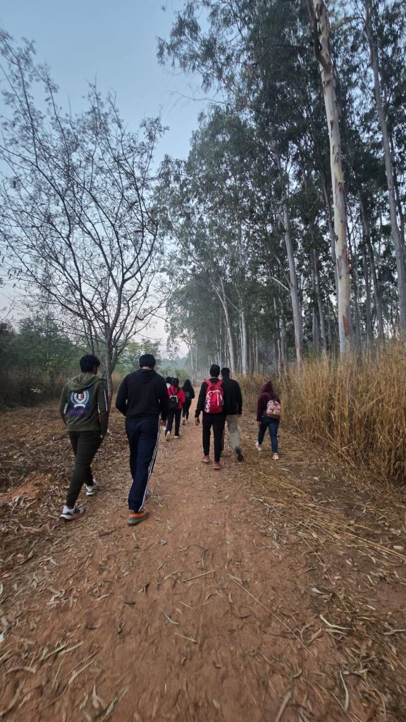Walking in forest